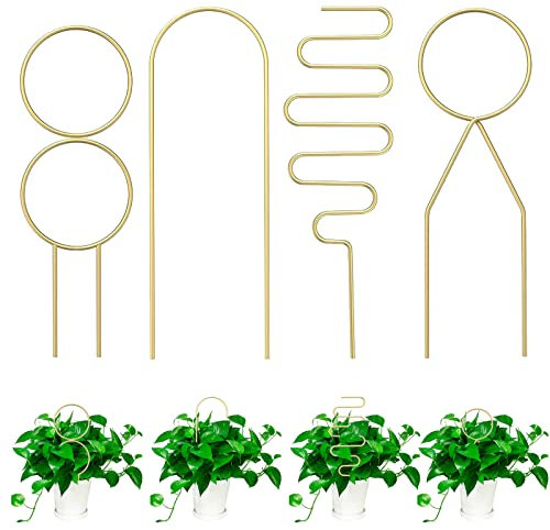Lot de 4 treillis de jardin pour plantes grimpantes, treillis en fer noir/doré pour plantes grimpantes en pot pour Hoya, Pothos, fleurs, Monstera