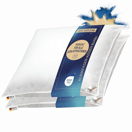 2 Stück Kopfkissen waschbar Allergiker Baumwollbezug Klimafaser 80x80