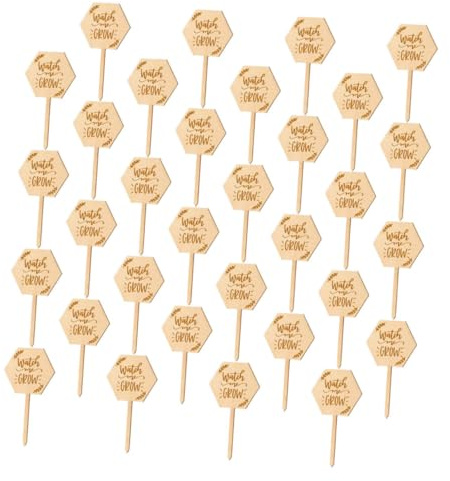 Abaodam 40pcs Wood Plant Tags Garden Labels Durable Wooden Plant Markers Greenhouse Herbs Vegetables Flowers Easy to Write and Insert