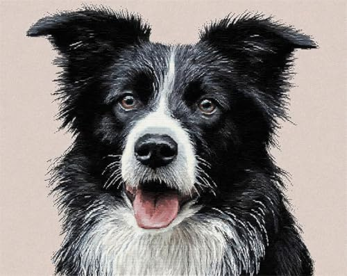 AYAOYANGGO Tier Kreuzstich Set Schwarzer Und Weißer Border Collie Diy-Kreuzstich-Sets Für Erwachsene Mit Nadeln，Scheren-Einfädler，Vordruck Für Die Wanddekoration Zu Hause 11CT 30x40cm