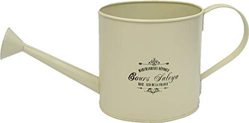 Rammento Arrosoir en métal de couleur pastel de 3 litres - Décoration d'intérieur rétro