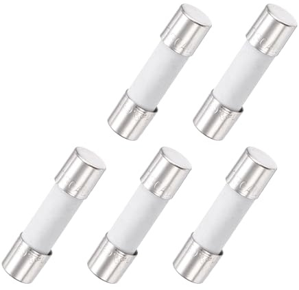QUARKZMAN 5Pcs Fusibile A Ritardo Termico Ceramico Tubolare 5mm x 20mm 250V | 30A, Fusibile Lento, Per Riparazione Circuiti Stampati Apparecchiature Di Illuminazione Strumentazione.