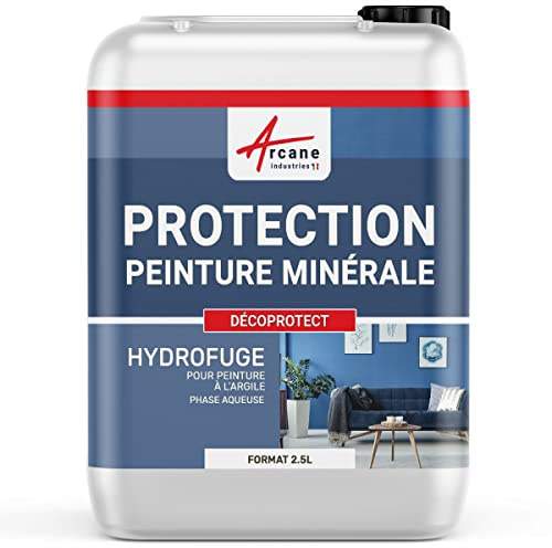Hidrófugo Protector contra Agua y Grasa para Pintura Mineral 2,5 L
