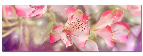 PANORAMA BILD XXL 150x50cm TOP Bilder! (Blütenzauber einer Orchidee) NEU Wandbild xxl günstig & modern ART PRINT Wandbilder Bilder EXKLUSIVES Fotowandbild auf Leinwand und Keilrahmen Bild Leinwandbild Fotodruck modern Zeitlos Stilvoll wie ein Gemälde Ausführung schöner Kunstdruck auf echter Leinwand als Wandbild mit Rahmen. Preiswerter als Ölbild Gemälde Foto Poster Plakat mit Bilderrahmen.