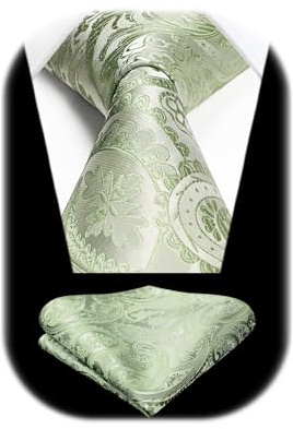 HISDERN Herren Hochzeit Krawatten und Einstecktuch Set Paisley Krawatte Jacquard Einfarbige in Verschiedenen Farben