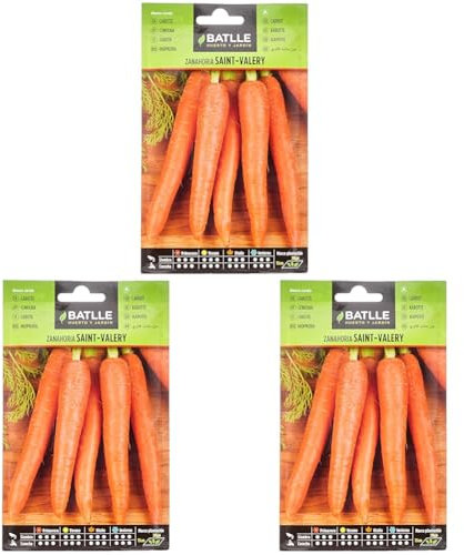 Semillas Batlle Zanahoria SAINT VALERY (Paquete de 3)