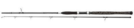 PENN Legion Cat Silver Spinnrute – Waller-Spinnrute zum Welsangeln
