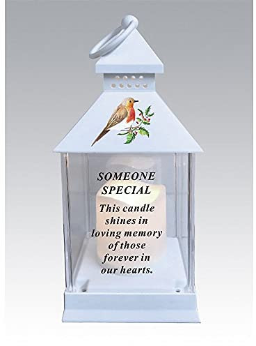 Waterproof Robin Memorial Graveside Lantern with LED Candle (Someone Special)