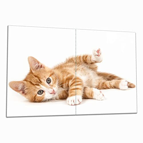 Wallario Herdabdeckplatte/Spritzschutz aus Glas, 2-teilig, 80x52cm mit 8 mm hohen Füßen, für Ceran- und Induktionsherde, Süße Katze mit großen Augen - rot weiß getigert
