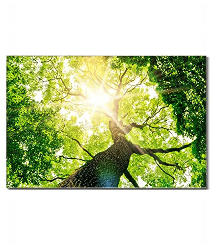 banjado Glas Magnettafel (75 x 50cm) - Magnetwand Glas - Magnetpinnwand als Memoboard - Pinnwand Magnettafel Küche, Büro, Kinderzimmer - Baumkrone