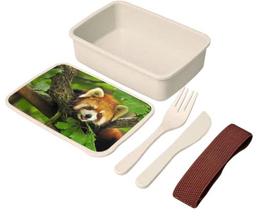 Fabulous Lunch Box - Boite à Repas avec couverts Panda Roux Trop Mignon Asie Chine Animal Sauvage - 700 ml