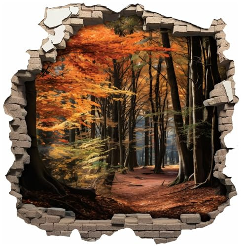 Samunshi® Wandtattoo Wandriss mit Herbst Wald Fenster in andere Welt Portal Wanddekoration Wandsticker für Kinderzimmer Wohnzimmer Wanddeko 50 x 50cm