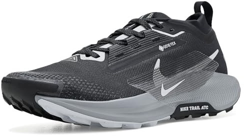 Nike Pegasus Trail 5 GTX Running ShoeHomme