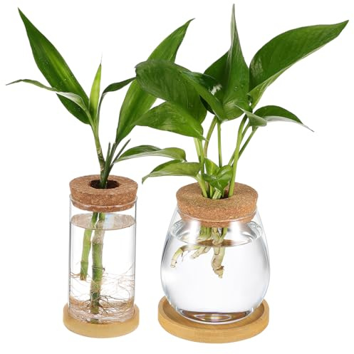 Abaodam 2pièces Station De Multiplication Verre Tubes De Propagation Terrariums pour Plantes avec Plateau Et Bouchon Liège