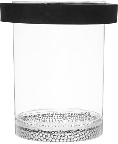 jojofuny Boîte D'élevage Flottante pour Poissons -nés Couvercle Transparent en Plastique et Filet en Nylon, pour Aquarium et Reproduction en Isolation