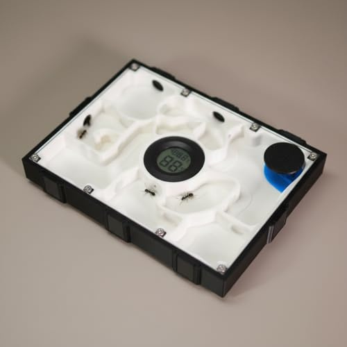 Ameisen Nest Formicarium als Ameisenfarm mit Hygrometer und Zubehör mit Abdeckung (Schwarz)