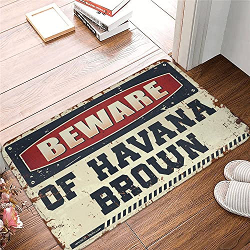 Autumn Rugs Outdoor Beware of Havana Brown Rug Gifts Under 30 Dollars Bar Poster (Taille : 50 x 80 cm)