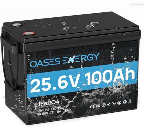 Oasesenergy Batterie Lithium 100AH 24V Batterie LiFePO4 avec 100A Protection BMS et 4000-15000 Cycles Profonds, Parfait pour Caravanes, Camping-Cars, Maison Solaire, Hors-Réseau,Bateaux