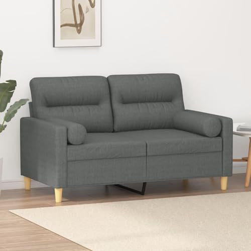 LAPOOH 2-Sitzer-Sofa mit Zierkissen Dunkelgrau 120 cm Stoff, Sofas & Couches, Sofa Wohnzimmer, Sofa Für Jugendzimmer, Relaxsofa, Sofa Für Schlafzimmer, Polstersofa 3200814