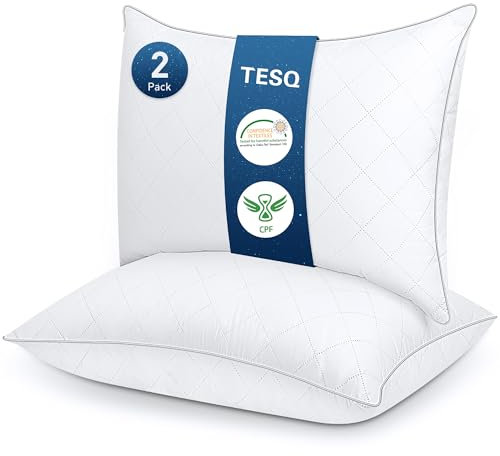 TESQ - Almohadas de 50 x 70 cm, juego de 2, cómodas y suaves, lujosas calidad de hotel, transpirables y duraderas, elección ideal para todas las posiciones de sueño