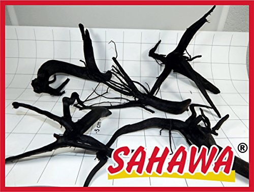 Sahawa Rote Moorwurzel 15–20 cm | Natürliche Moorkienwurzel/Mangrovenwurzel für Aquarium & Garnelenbecken | Deko-Holz für Aquascaping & Terrarium