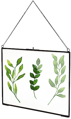 TLBTEK 12x8 Inch Black Horizontal Picture Frames, Brass Hanging Double Glass Frame for Pressed Flowers, Clear DIY Vintage Artwork Display Frame Wall Mounted Photos