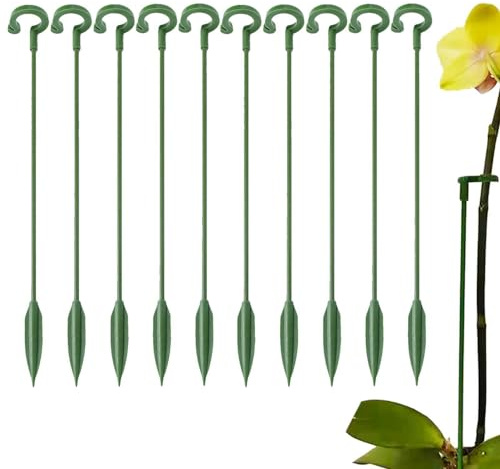 Pflanzenstäbe für Zimmerpflanzen | 10 Packungen Pflanzenstützpfahl - Zimmerpflanzen Einzelblumenstiel Kletterpflanze Unterstützung für Amaryllis, Orchidee, Lilie, Pfingstrose, Phalaenopsis