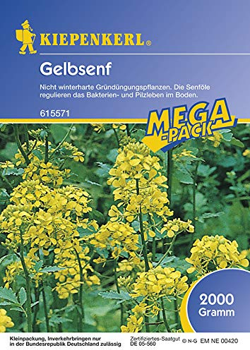 Kiepenkerl 615571 Gelbsenf 2 kg (Gelbsenfsamen)
