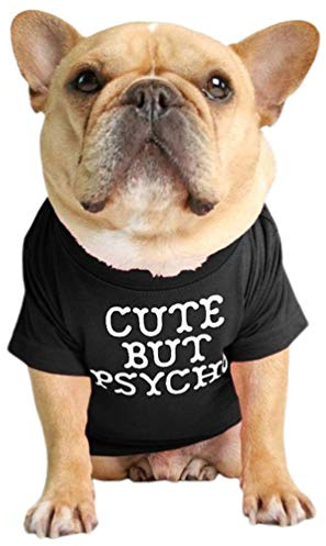 Junhouse Bulldog Clothes Pet Clothing Puppy T-shirt Spring Summer Soft Comfy Breathable Quick Dry Dog Outfit Pullover For Small Medium Large Puppy Dogs (L,Black)
