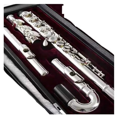 Flauto traverso flauto per principianti Bocchino a U con foro chiuso Flauto di coda a foro chiuso placcato argento a 16 fori per principianti