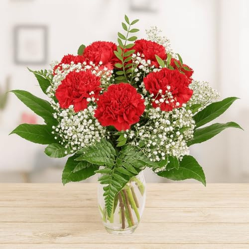 Handgebundener Blumenstrauß mit roten Nelken | Schleierkraut, Frisches Bindegrün