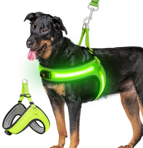 BiPawTi Beleuchtetes Leuchtgeschirr für Hunde, Aufladbar LED Brustgeschirr Hund Groß - Leuchtet Im Dunkeln, Leuchtendes Hundegeschirr Große Hunde, Stylische Zubehör fürs Camping mit Hund - Grünlicht