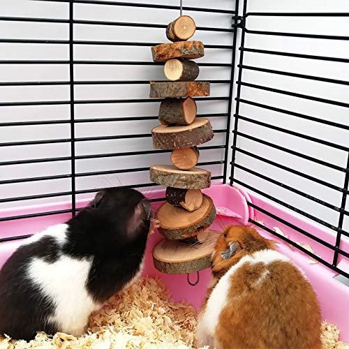 Yicare Lot de 2 Jouets à mâcher en Bois de Pommier Bio Naturel pour Petits Animaux Convient pour Lapins, Chinchilla, cochons d'Inde, Hamsters