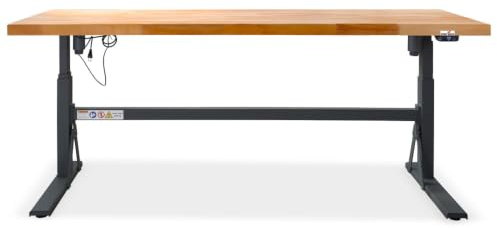 Steinbock Werkbank elektrisch höhenverstellbar | 200x75 cm | 350 kg | Grau | Arbeitshöhe 70-117 cm | 5 cm lasierte Massivholz-Arbeitsplatte aus Buche| stabiles Stahlgestell | Werktisch