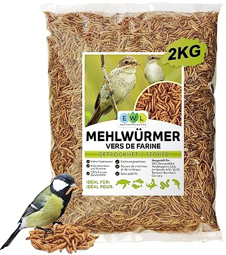 EWL Naturprodukte Mehlwürmer getrocknet 2kg entspricht 13ltr. Insektensnack für Vögel, Fische, Schildkröten, Nager und Reptilien