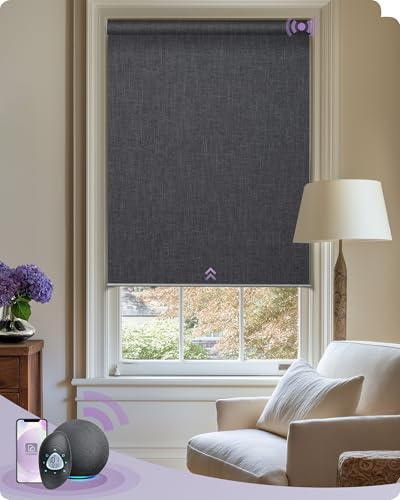 Graywind Smart Roller Shades Compatible with Alexa 100% Blackout Window Blinds with Rechargeable Zigbee Motor Customized Automatic Shades Remote Control for Home and Office(Dark Grey)