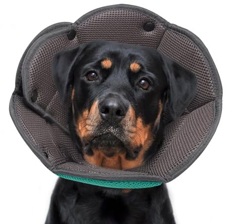 Halskrause für Hund, Halskrause Katze, Schutzkragen Hund, Atmungsaktiver Hundehalskragen FüR Kleine, Mittlere Und GroßE Hunde, Verstellbarer Hunde-Erholungskragen Nach Der Operation - Blauer See L