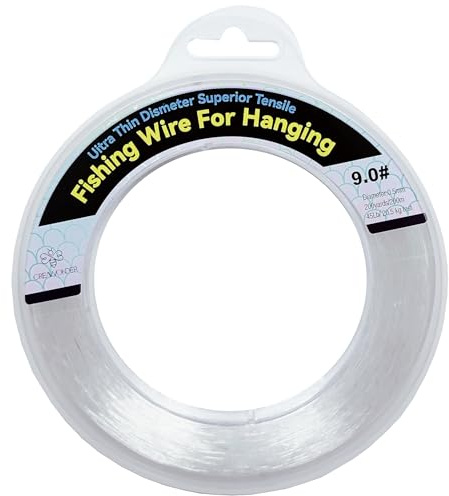 Fil de pêche Transparent, Fil de pêche monofilament de 200 m, Corde Transparente à Suspendre, Fil en Nylon Solide Invisible pour accrocher des guirlandes de Ballons, des décorations d'images