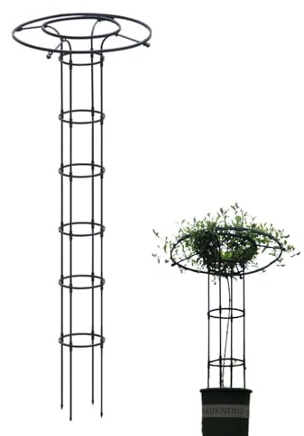 Traliccio a colonna per piante rampicanti, in metallo, autoportante, torre per rose, traliccio in metallo, verdure, fiori e piante, per esterni e giardino