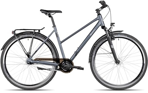 2R Manufaktur TRS NEX Trapez | Citybike | 28 Zoll Damenfahrrad | 7-Gang Schaltung | Rücktrittbremse | inkl. Straßenausstattung