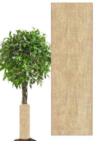 Cubiertas para plantas para el invierno - Paño transpirable antiheladas, yute natural invierno bolsas para cubrir plantas - Para árboles frutales, arbustos de bayas, arbustos de terraza, invernadero y