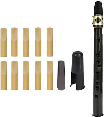 Mini-Saxophon-Set, tragbares Altsaxophon mit 1 Stimmzungen, 10 Mundstücken, 1 Grifftabelle, 1 Tragetasche