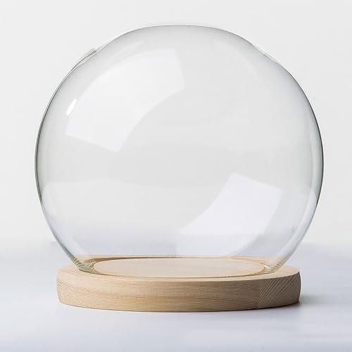 TIHONORI Glass Cloche Dome Display with Solid Wood Base for Displaying Plants, Ornaments, Figurines,DIA 20cm