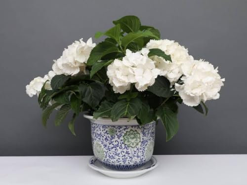 Yajutang China Porcelain Flower Pot Blue/White with Green Flowers Diameter 22 cm