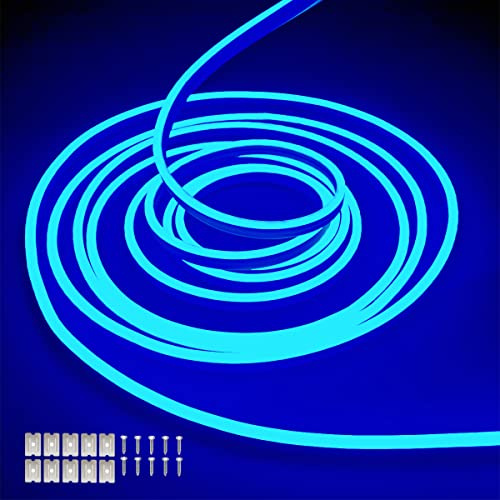 Balabaxer Striscia luminosa blu al neon, 16.4ft/5m 12V DC 600 SMD2835 LED impermeabile, per la decorazione interna ed esterna (senza azionamento)