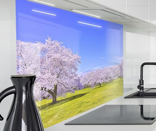 timalo Spritzschutz Wand für Herd, Küche Küchenrückwand Glasoptik | Acryl Glas 2mm | Glasrückwand Acrylglas Wandpaneele Rückwandschutz Platte | 80x60cm Landschaft Bäume