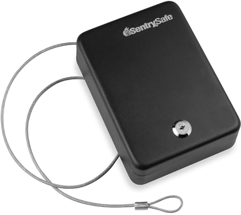 SentrySafe Caja fuerte pequeña P005K con cerradura de llave para oficina o dormitorio, por ejemplo: 6,6 cm de alto x 15 cm de ancho x 20,3 cm de profundidad