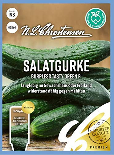 Salatgurke Burpless Tasty GreenF1 N.L.Chrestensen Samen 1560