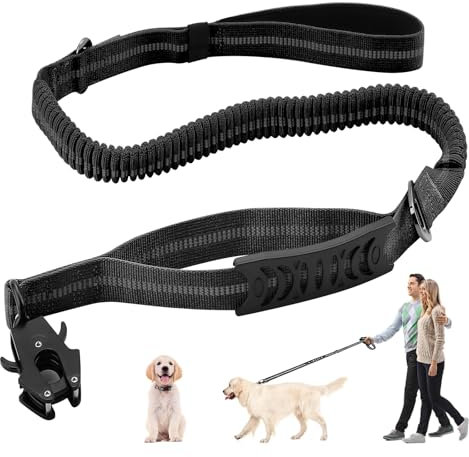 Hundeleine für Mittelgroße und Große Hunde - Reflektierend, 1.2-1.8m, Mit Ruckdämpfer und Gepolstertem Griff - Autosicherheitsgurt (Schwarz)