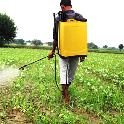 Pulvérisateur à Dos à Pression avec Batterie Rechargeable,16 litres, travaux de pulvérisation, Jardin, fertilisation, Lutte Contre Les Mauvaises Herbes et Les nuisibles (B)